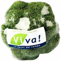 Brócoli VIVA x und.