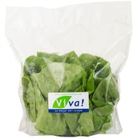Lechuga Butterhead VIVA Bolsa x und.