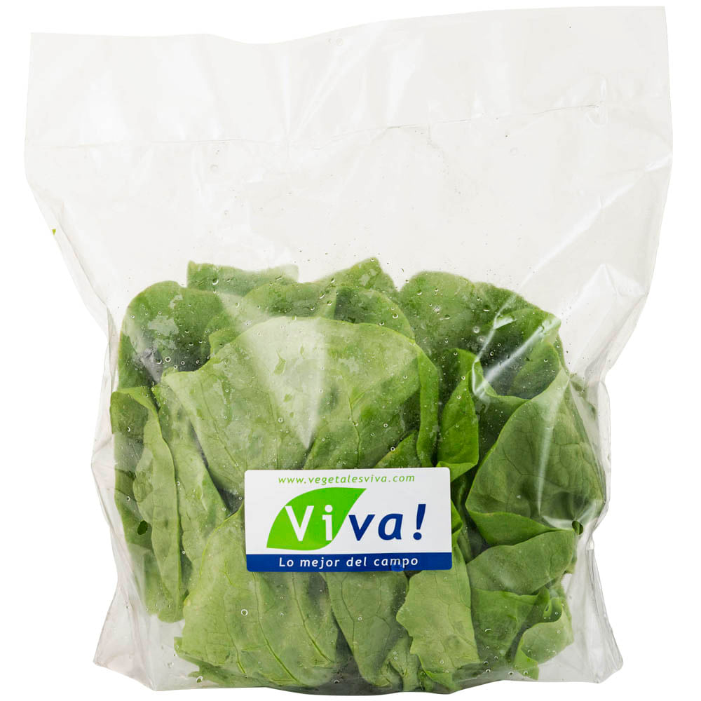 Lechuga Butterhead VIVA Bolsa x und.