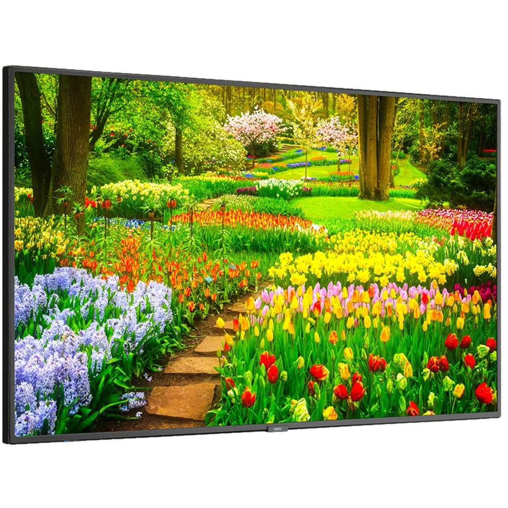 Nec Multisync M491 49"" Class Hdr 4K Uhd Commercial Ips Led Display