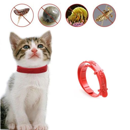 El aparato si puedes Precursor Collar Antipulgas para Gatos | plazaVea - Supermercado