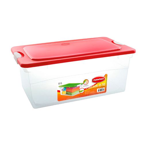 Caja Organizadora VIVA HOME 4.4L